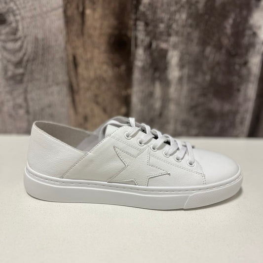 MOLLINI - SNEAKER CUIR - HOLIDAY- (#6) M011948WAD-LE - BLANC/BLANC