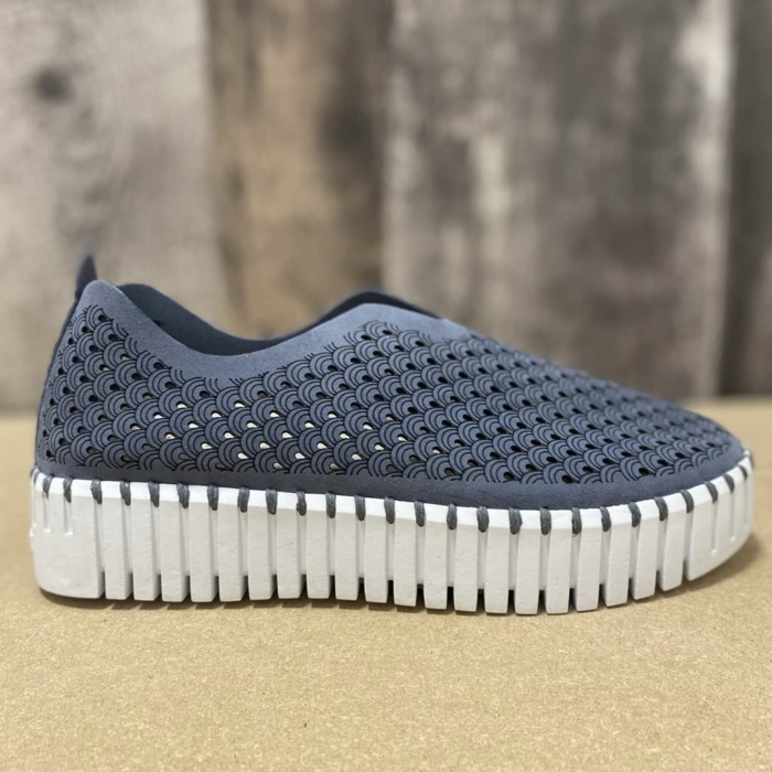 ILSE JACOBSEN – CHAUSSURE DAME – TULIP3373 (#14) – BLUE GREY